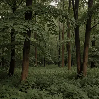 A forest scene where the foliage is precisely #2D5F2D (dark 
