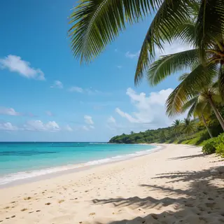 A tropical beach scene with no people