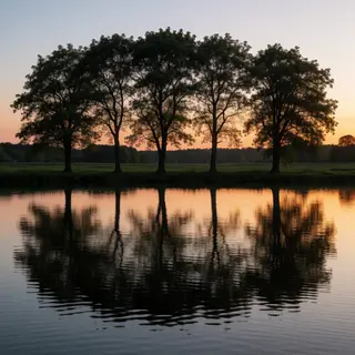 A row of trees reflected in a calm lake at sunset, with the 