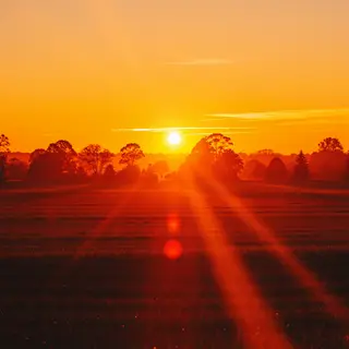 A landscape photograph bathed in golden hour light — long wa