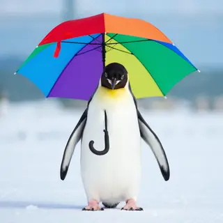 A penguin holding a colorful umbrella