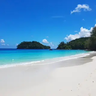 A tropical beach scene with no people