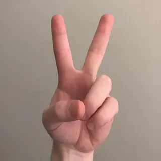 A person making a peace sign with their right hand, clearly 