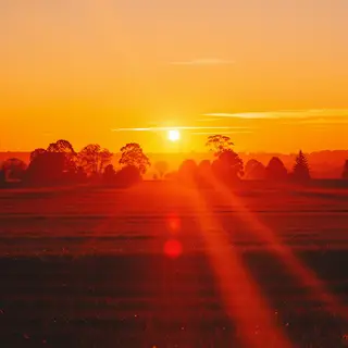 A landscape photograph bathed in golden hour light — long wa
