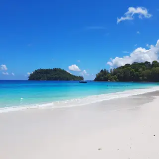 A tropical beach scene with no people