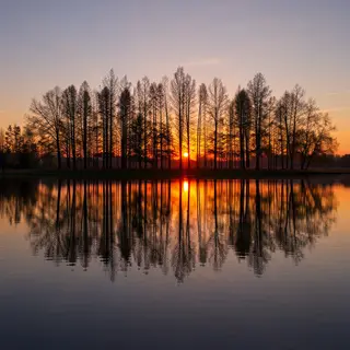 A row of trees reflected in a calm lake at sunset, with the 