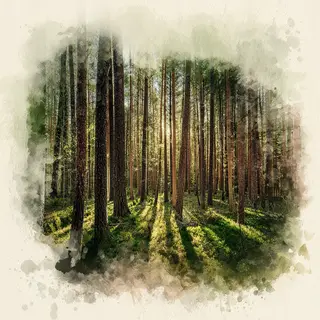 A forest rendered in photorealistic watercolor — the detail 
