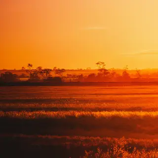 A landscape photograph bathed in golden hour light — long wa