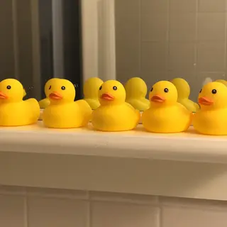 Exactly 5 yellow rubber ducks sitting in a row on a bathroom