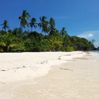 A tropical beach scene with no people