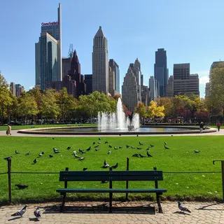 A city park with a park bench and pigeons in the foreground,