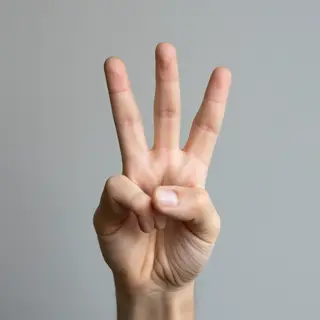 A person making a peace sign with their right hand, clearly 