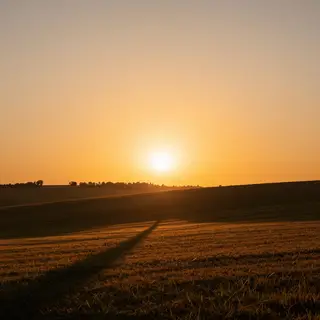 A landscape photograph bathed in golden hour light — long wa