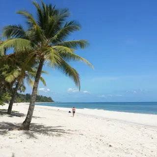 A tropical beach scene with no people