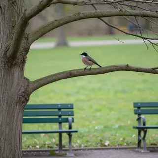 A bird perched on a branch, the branch extending from a tree