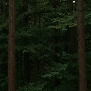 A forest scene where the foliage is precisely #2D5F2D (dark 