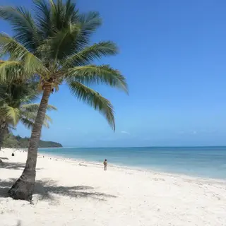 A tropical beach scene with no people