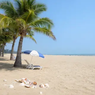 A sandy beach with palm trees, seashells, and a beach umbrel