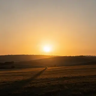 A landscape photograph bathed in golden hour light — long wa