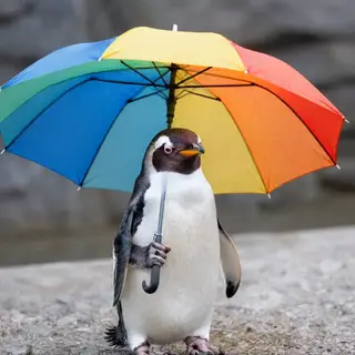 A penguin holding a colorful umbrella