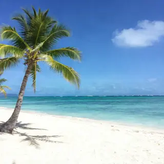 A tropical beach scene with no people