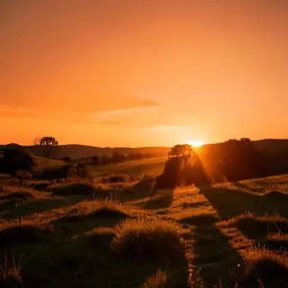 A landscape photograph bathed in golden hour light — long wa
