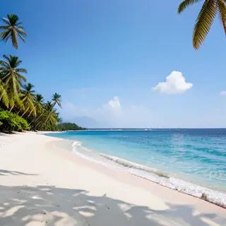 A tropical beach scene with no people