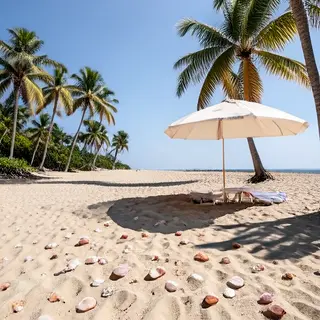 A sandy beach with palm trees, seashells, and a beach umbrel