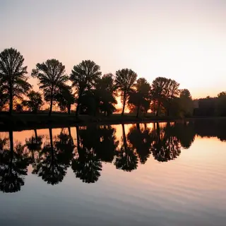 A row of trees reflected in a calm lake at sunset, with the 