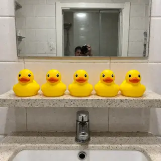Exactly 5 yellow rubber ducks sitting in a row on a bathroom