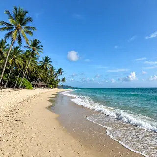 A tropical beach scene with no people