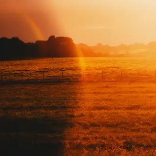 A landscape photograph bathed in golden hour light — long wa