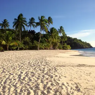 A tropical beach scene with no people