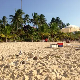 A sandy beach with palm trees, seashells, and a beach umbrel