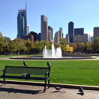 A city park with a park bench and pigeons in the foreground,