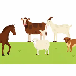 Five animals in a field: a horse on the far left, a cow to t