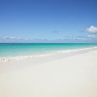 A tropical beach scene with no people