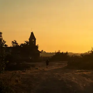 A landscape photograph bathed in golden hour light — long wa