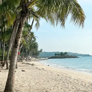 A tropical beach scene with no people