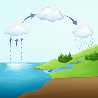 A detailed diagram of the water cycle showing evaporation fr