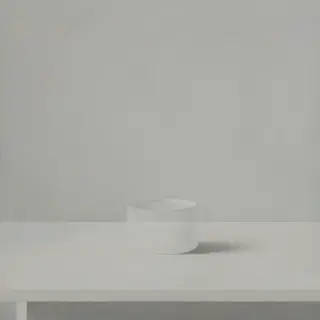 A still life painted in anxious minimalism — sparse composit