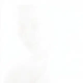A high-key portrait of a person against a bright white backg