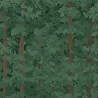 A forest scene where the foliage is precisely #2D5F2D (dark 