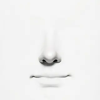 A human face with eyes, nose, and mouth but no eyebrows