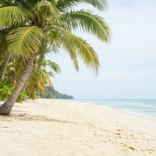 A tropical beach scene with no people