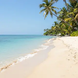 A tropical beach scene with no people
