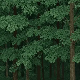 A forest scene where the foliage is precisely #2D5F2D (dark 