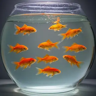 Exactly 9 goldfish swimming in a large round fishbowl