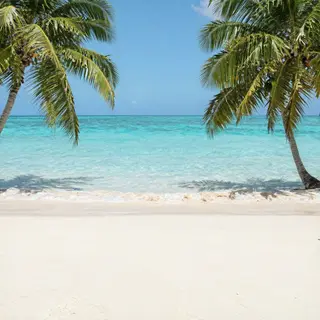 A tropical beach scene with no people