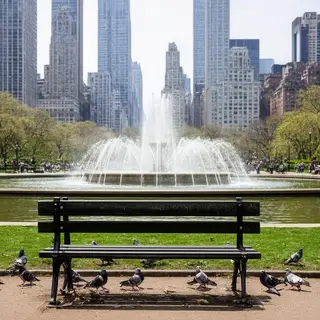 A city park with a park bench and pigeons in the foreground,